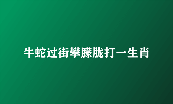 牛蛇过街攀朦胧打一生肖