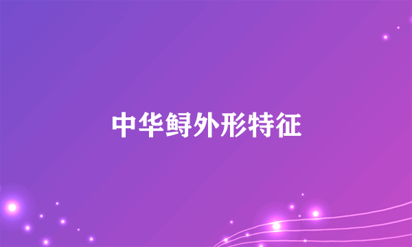 中华鲟外形特征