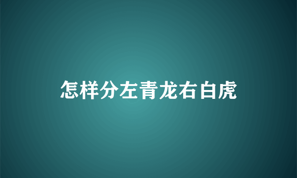 怎样分左青龙右白虎
