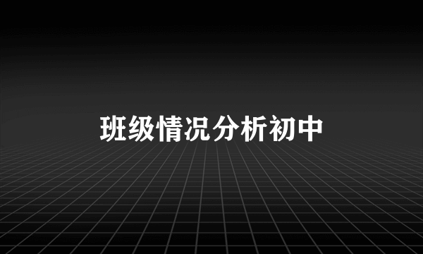 班级情况分析初中