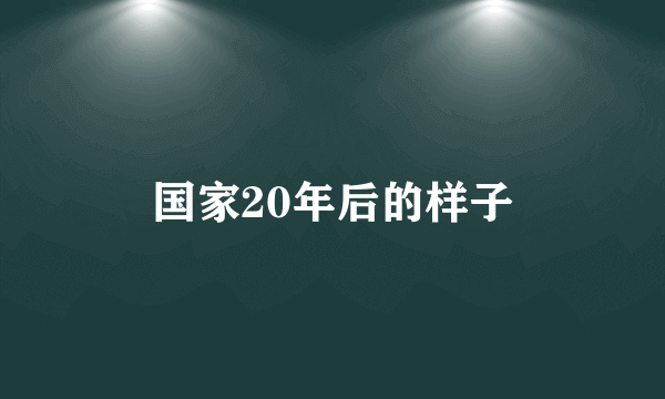 国家20年后的样子