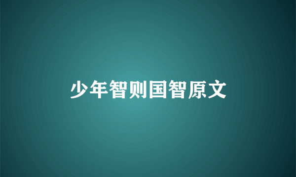 少年智则国智原文