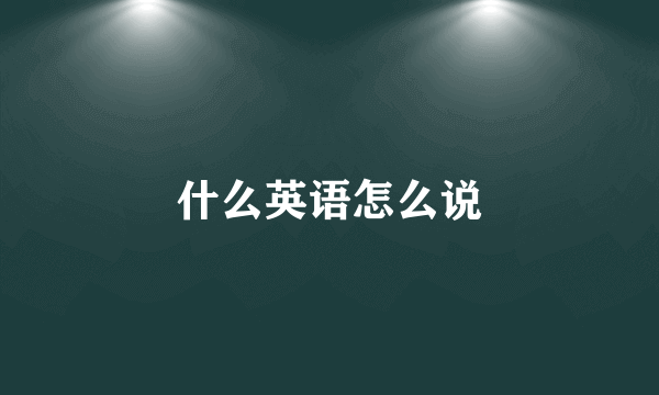 什么英语怎么说
