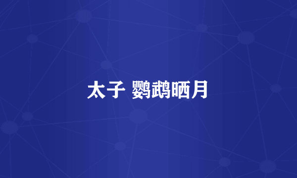 太子 鹦鹉晒月