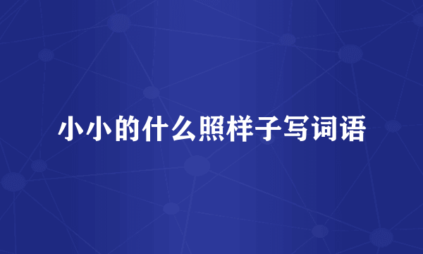 小小的什么照样子写词语