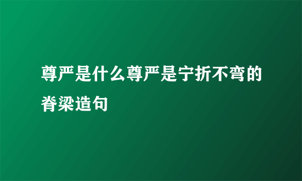 尊严是什么尊严是宁折不弯的脊梁造句