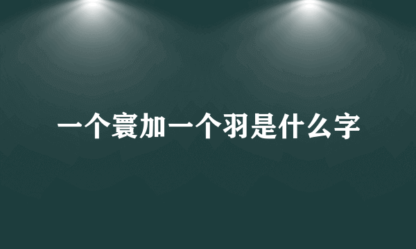 一个寰加一个羽是什么字