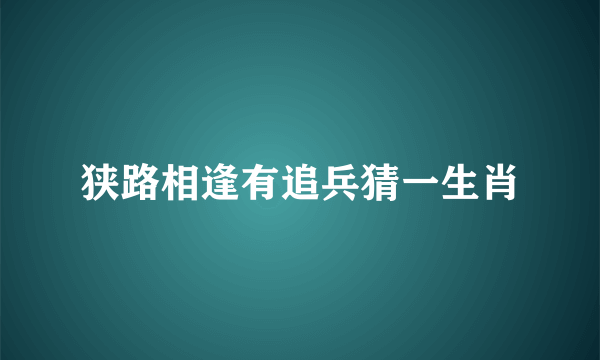 狭路相逢有追兵猜一生肖