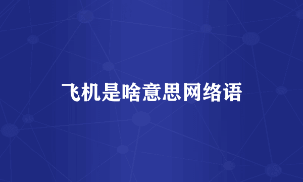 飞机是啥意思网络语