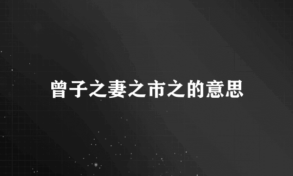 曾子之妻之市之的意思