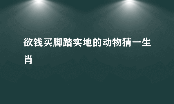 欲钱买脚踏实地的动物猜一生肖
