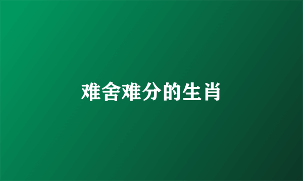 难舍难分的生肖