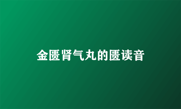 金匮肾气丸的匮读音