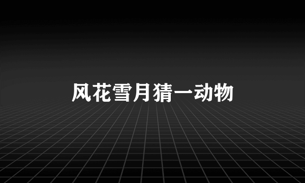 风花雪月猜一动物