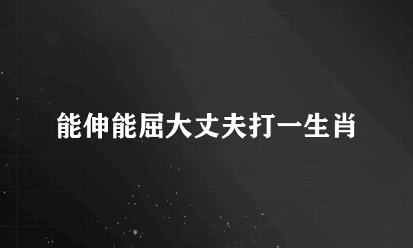 能伸能屈大丈夫打一生肖