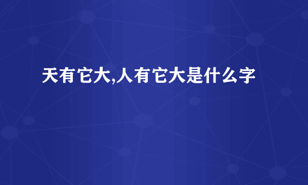 天有它大,人有它大是什么字