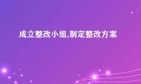 成立整改小组,制定整改方案