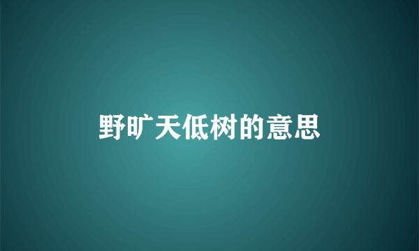 野旷天低树的意思