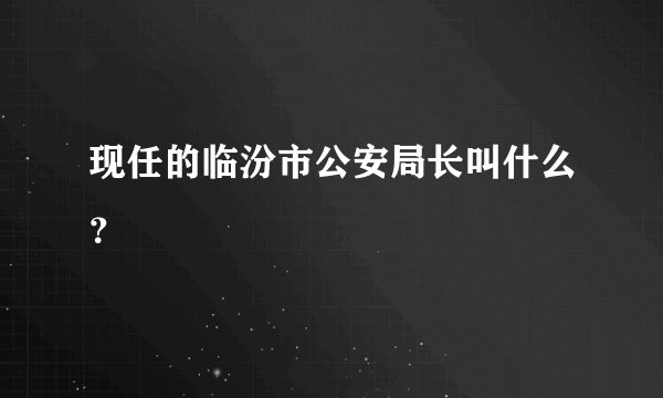 现任的临汾市公安局长叫什么？