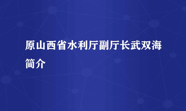 原山西省水利厅副厅长武双海简介