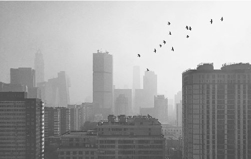 雾霾对人体,有什么危害?