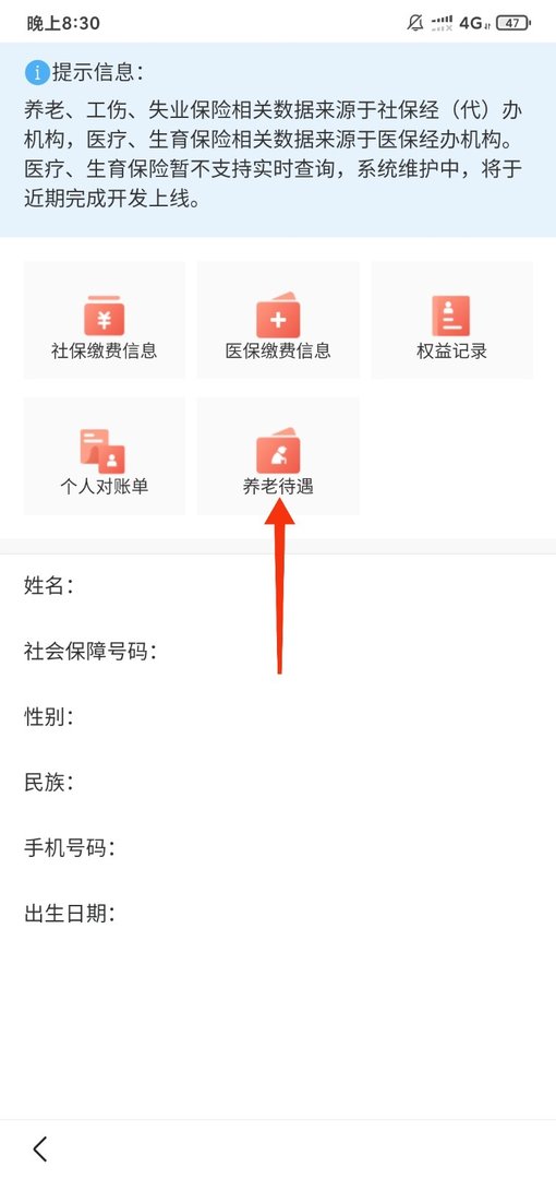 北京市养老保险个人账户查询