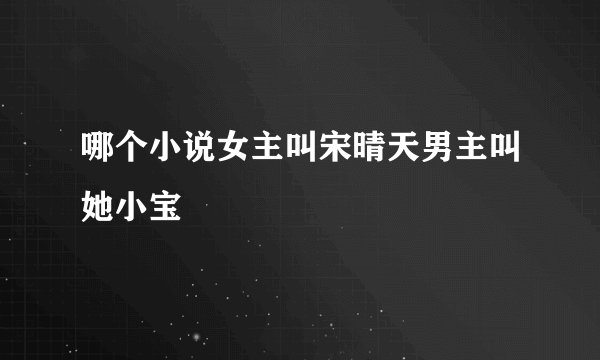 哪个小说女主叫宋晴天男主叫她小宝
