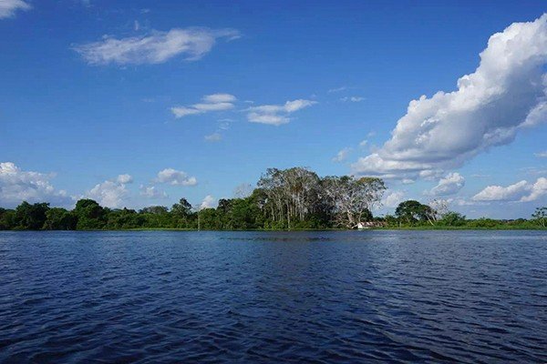 巴西拒绝G7出2200万美元“帮忙”灭火,为何接受英国的1200万美元?