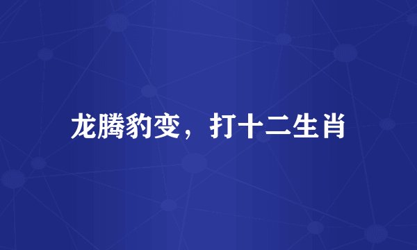 龙腾豹变，打十二生肖