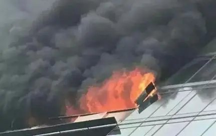 林生斌的淘宝店铺“潼臻一生”全部商品下架，他是因何翻车的？