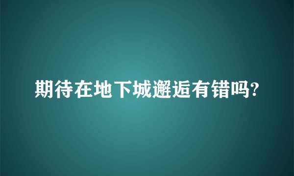 期待在地下城邂逅有错吗?