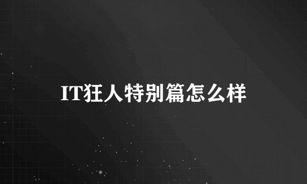 IT狂人特别篇怎么样