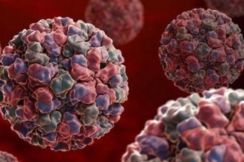 武科大的两位教授治疗艾滋病获批发明专利,这意味着HIV可以被彻底治愈了吗?