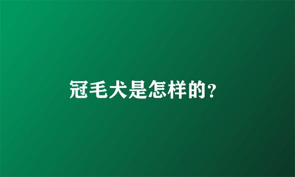 冠毛犬是怎样的？