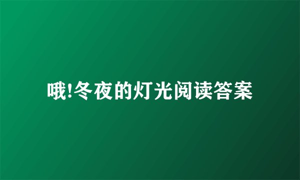 哦!冬夜的灯光阅读答案