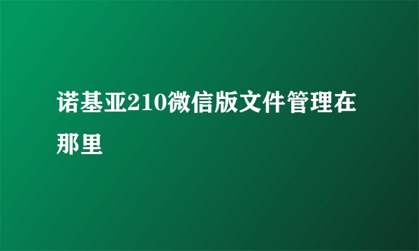 诺基亚210微信版文件管理在那里