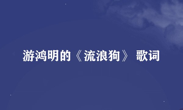 游鸿明的《流浪狗》 歌词