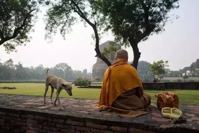 印度千年高僧至今不腐,其遗体被供为活佛,为何高僧遗体如此神奇?