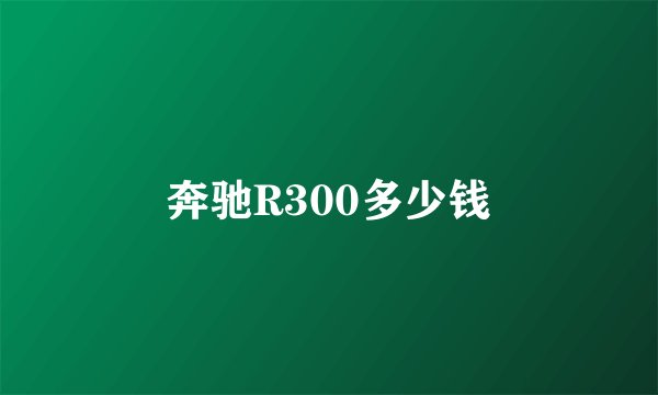 奔驰R300多少钱