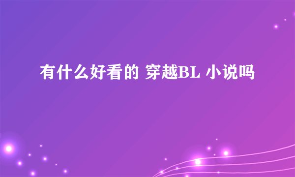 有什么好看的 穿越BL 小说吗