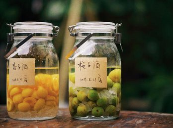 梅子酒的做法