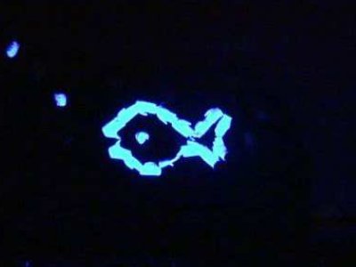 手影舞用的是什么灯？