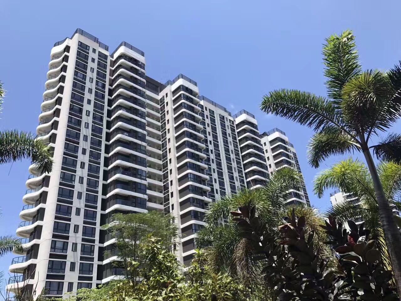 三亚跳舞坠楼女子屋内留有遗书,遗书都写了什么?