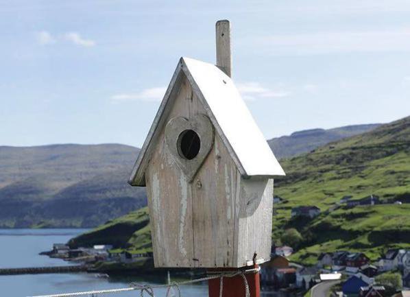 常用的抗抑郁药有哪些?哪些效果最好?