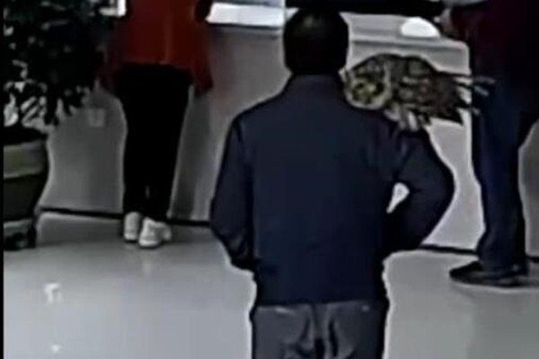 男子捡到猫头鹰肩扛送派出所,这当中发生啥趣事了?