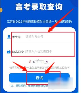 怎么查录取通知结果
