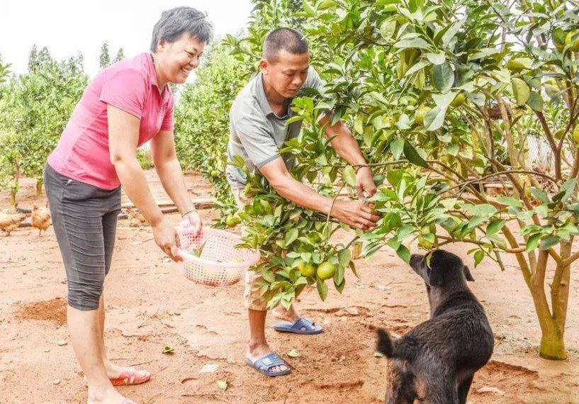 湛江小将14岁全红婵回国后,隔离生活超自律,她的身上有哪些可贵的品质?