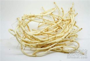 折耳根腥臭难忍，是最恐怖蔬菜之一，为何云贵川人民却将其当饭吃？