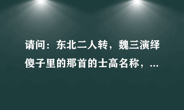 请问：东北二人转，魏三演绎傻子里的那首的士高名称，谢过...