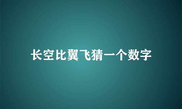 长空比翼飞猜一个数字